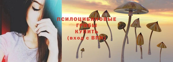 метадон Кинешма