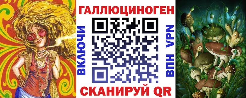 Купить закладки  Щёлкино  Галлюциногенные грибы Cubensis 